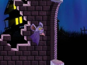 Gliding Bat Cavern Run