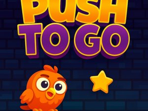 Push To Go Puzzle Game