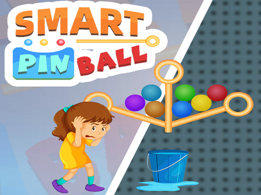 Smart Pin Ball Puzzle Game