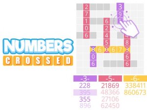 Numbers Crossed Puzzle Game
