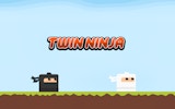 Twin Ninja: Endless Runner