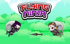 Flying Ninja: Endless Sky Adventure