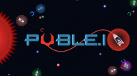 Puble.io Online Game